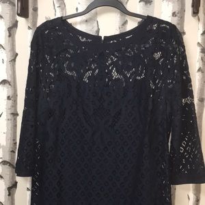 Ann Taylor LOFT Lace Navy Dress Size 12